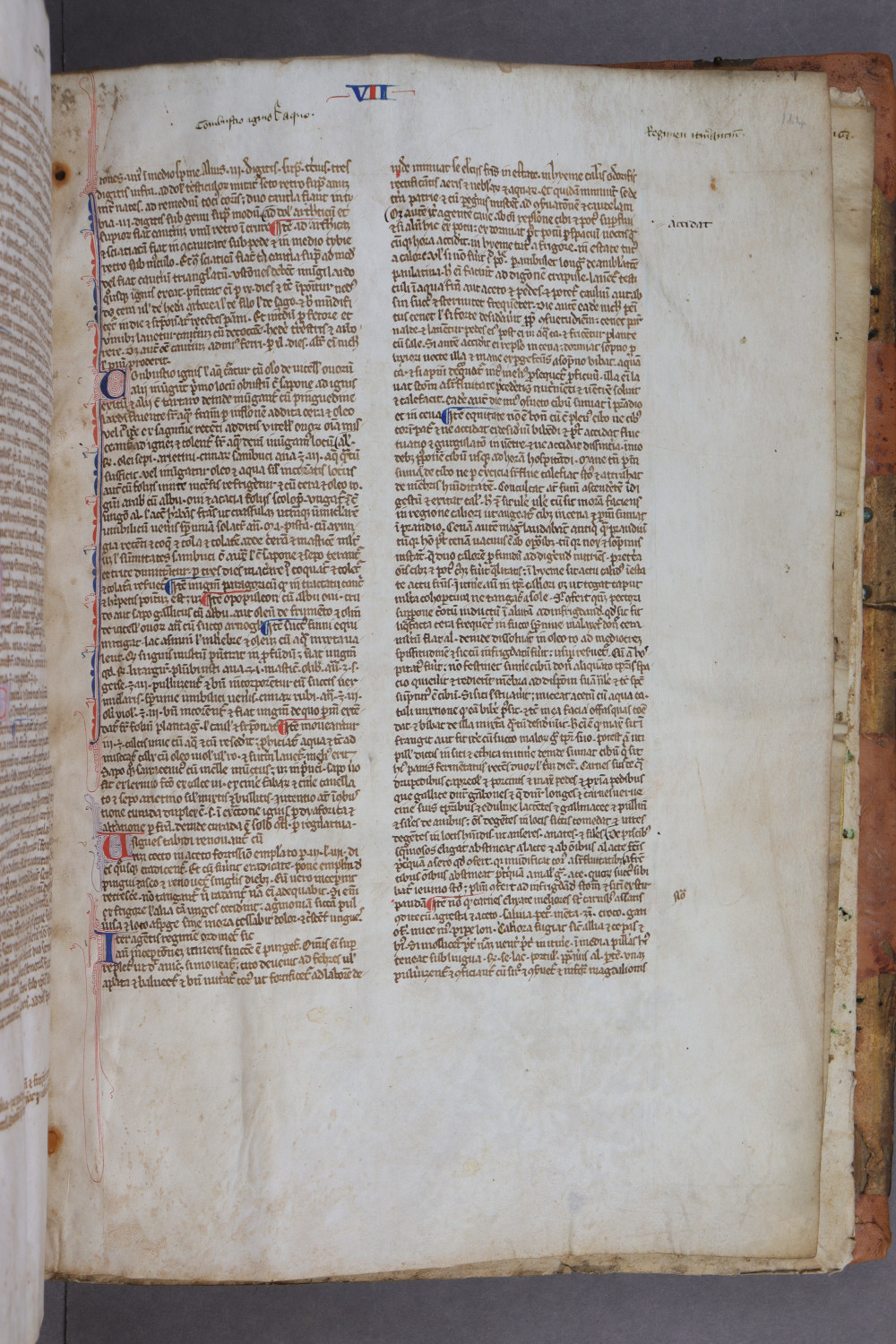 Folio 164 recto